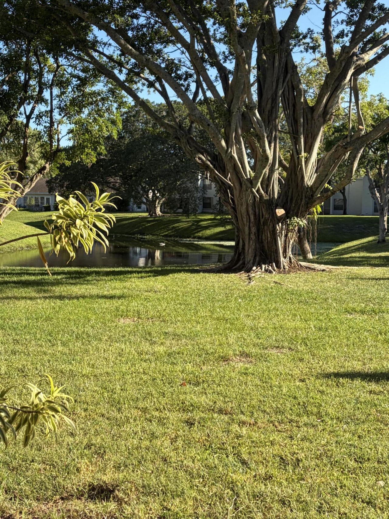 2900 Fiore Way, Unit 1050, Delray Beach, FL 33445 Photo