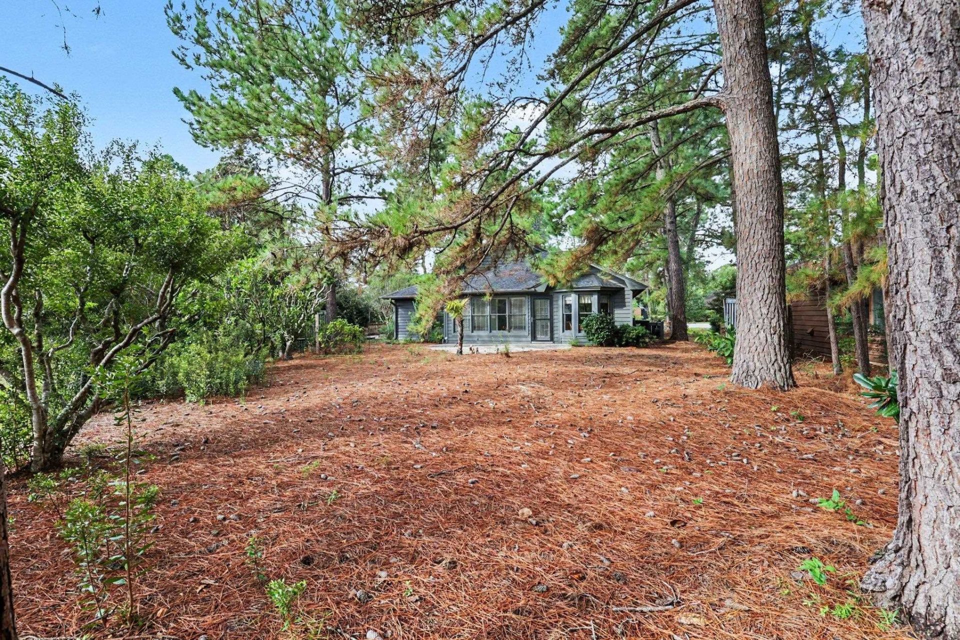 101 Moss Circle Photo 29