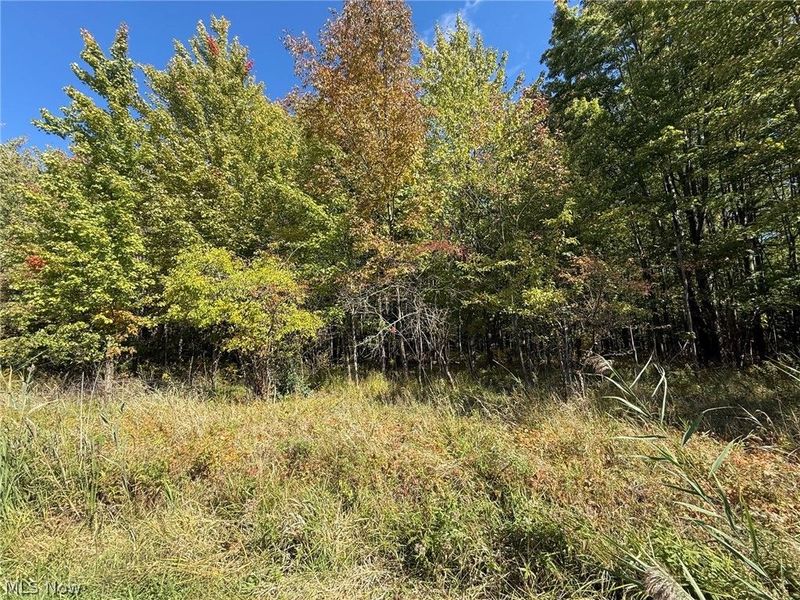 V/L 1 Trask Road, Leroy, OH 44086 Photo 1