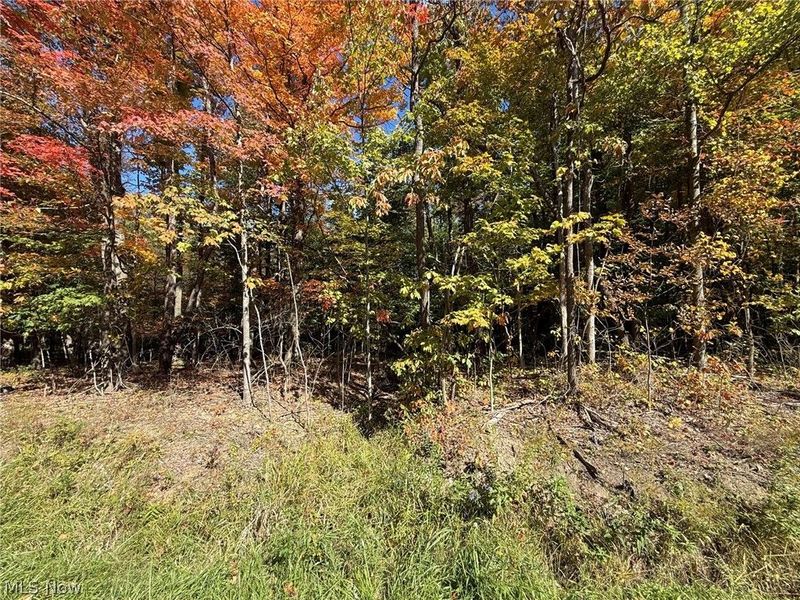 V/L 1 Trask Road, Leroy, OH 44086 Photo 3