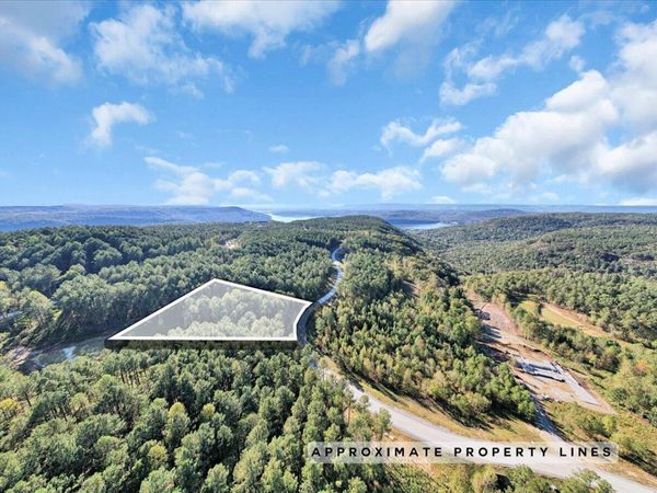 0 Birds Eye Way, Guild, TN 37340