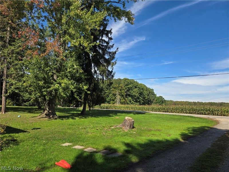11791 Easton Road , Rittman, OH 44270 Photo 6