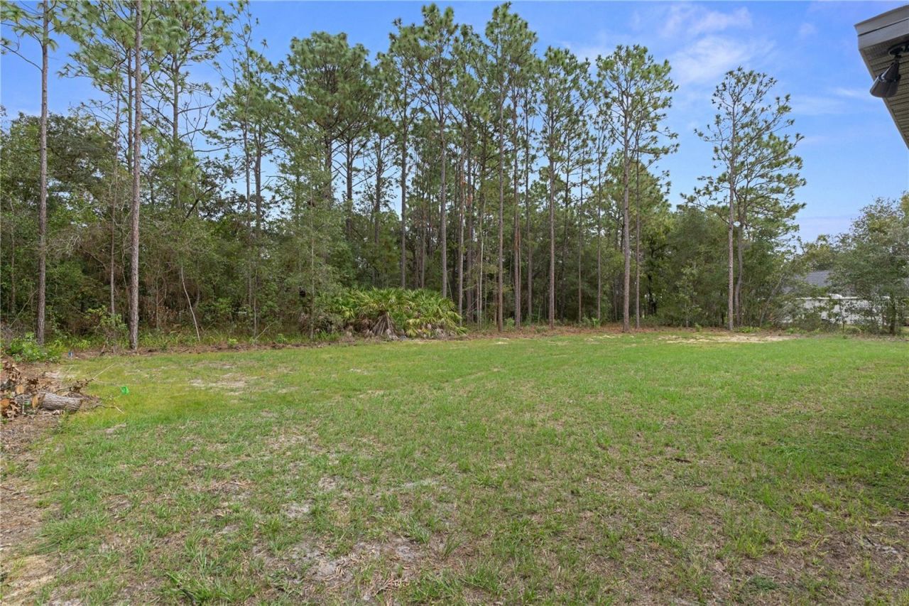 3339 W Villanova Court , Beverly Hills, FL 34465 Photo