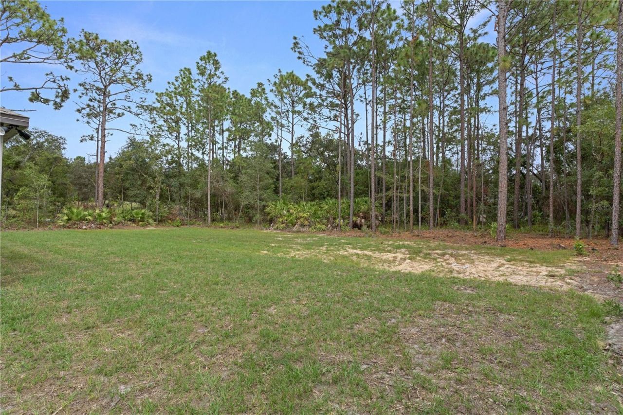3339 W Villanova Court , Beverly Hills, FL 34465 Photo