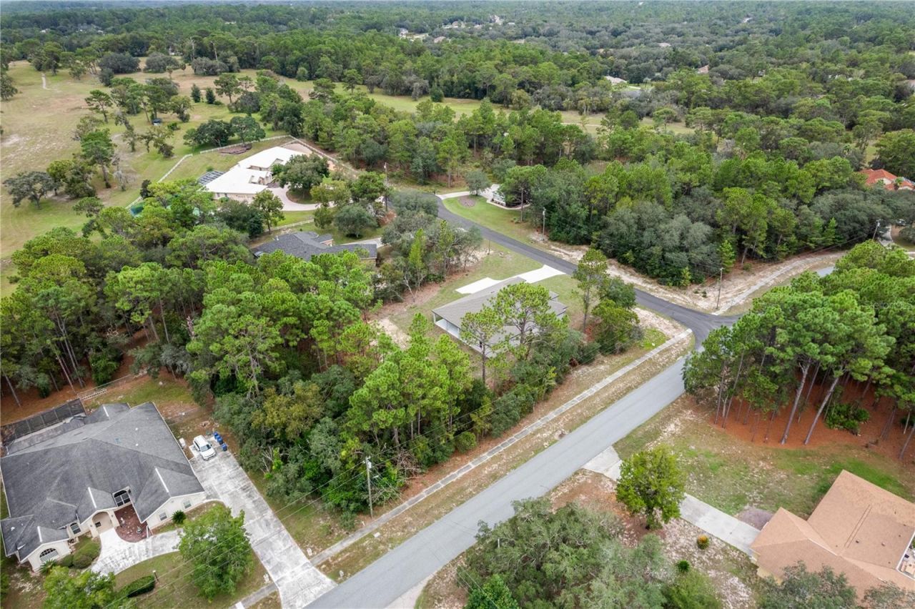 3339 W Villanova Court , Beverly Hills, FL 34465 Photo