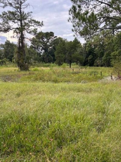 21103 Reindeer Road , Christmas, FL 32709 Photo