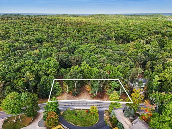 5689 W Longbridge Road, Pentwater, MI 49449