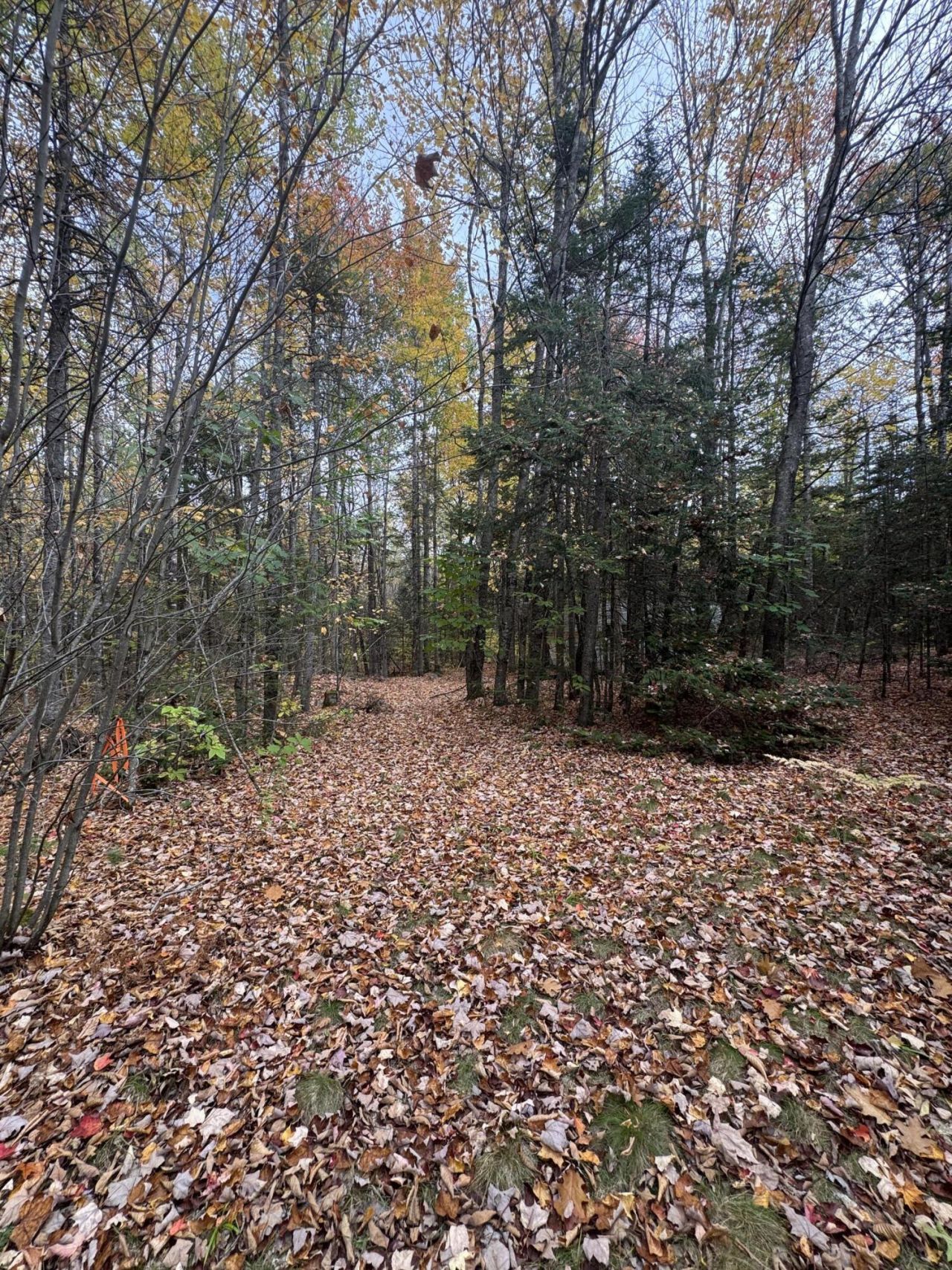 839 Oliver Hill Road, Garland, ME 04939 Main Photo