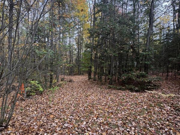 839 Oliver Hill Road, Garland, ME 04939