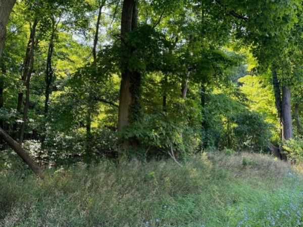 30 62nd Street, Decatur, MI 49045