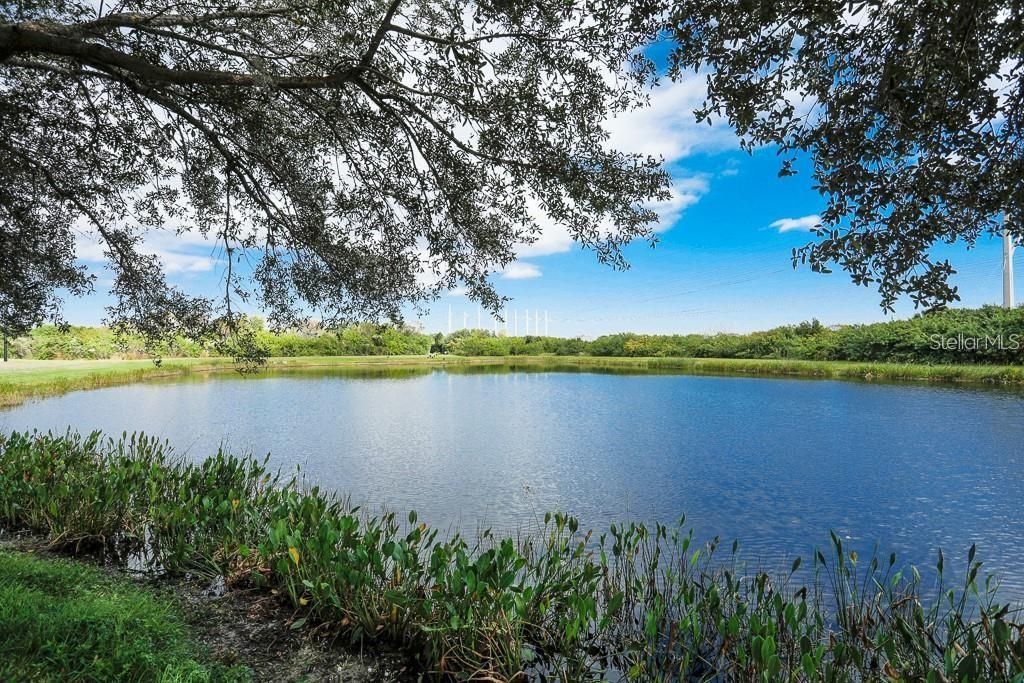 8403 Grand Estuary Trail , Unit 105, Bradenton, FL 34212 Photo