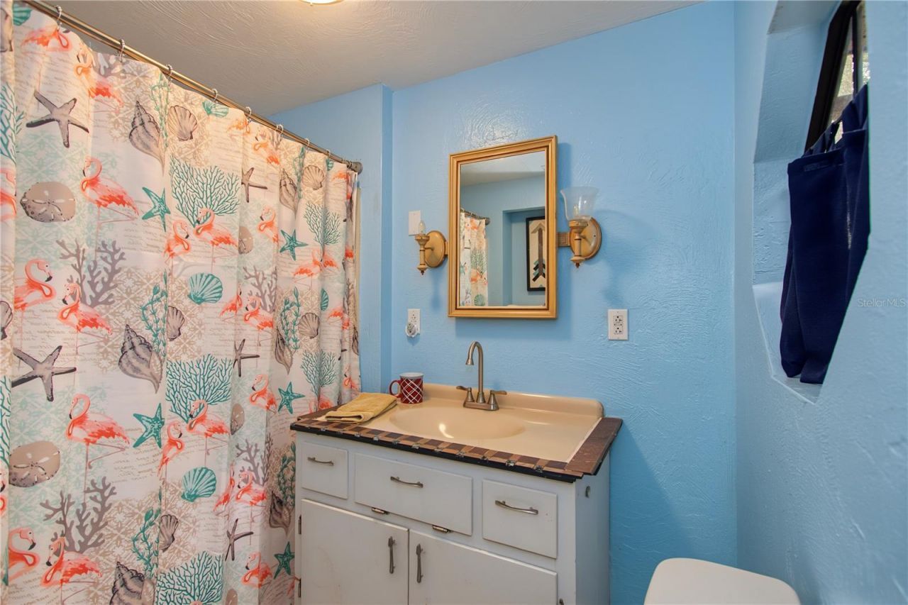 24970 NE 130th Lane , Salt Springs, FL 32134 Photo