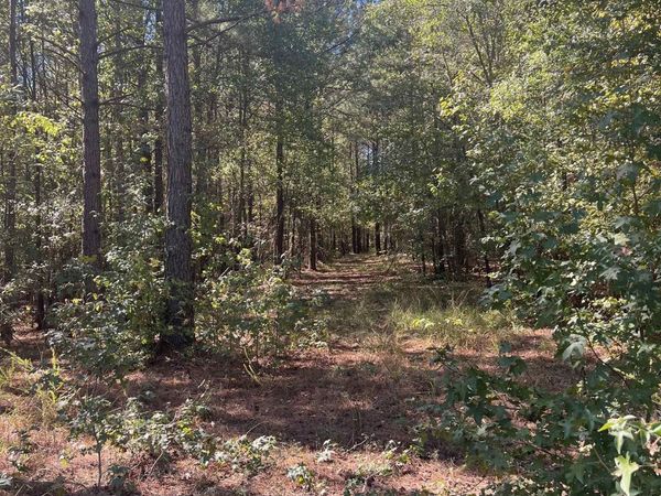 xx tract 11 Castle, Glenwood, AR 71943