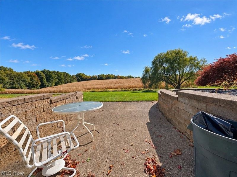 3236 N Pleasant Drive, East Palestine, OH 44413 Photo 36