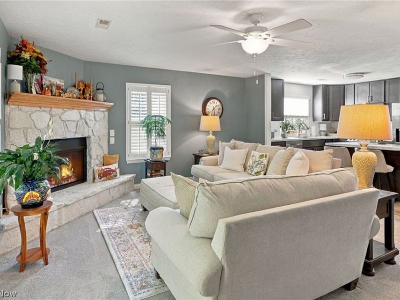 208 Lavender Lane, Madison, OH 44057 Photo 9