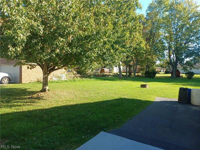 937 Mathews, Youngstown, OH 44512 Photo 31
