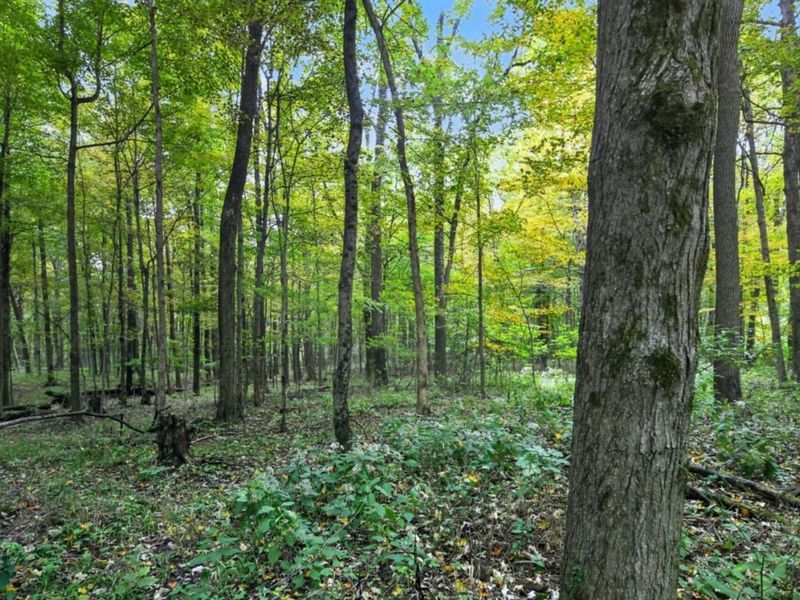 3999 Township Road 176, Fredericktown, OH 43019 Photo 63