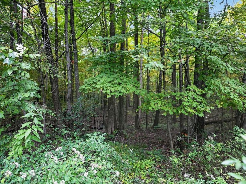3999 Township Road 176, Fredericktown, OH 43019 Photo 71