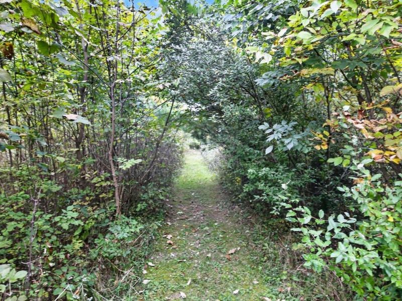 3999 Township Road 176, Fredericktown, OH 43019 Photo 75