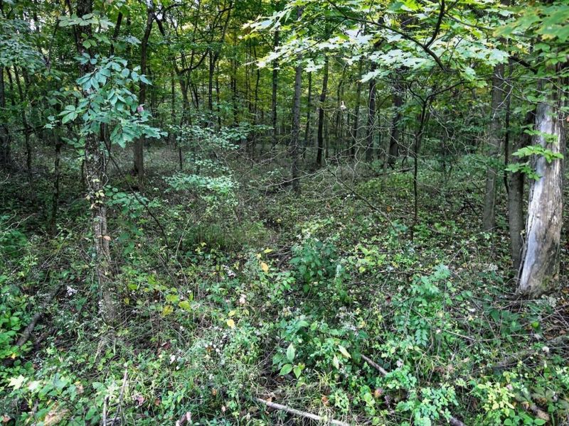 3999 Township Road 176, Fredericktown, OH 43019 Photo 77
