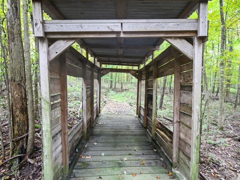 3999 Township Road 176, Fredericktown, OH 43019 Photo 79