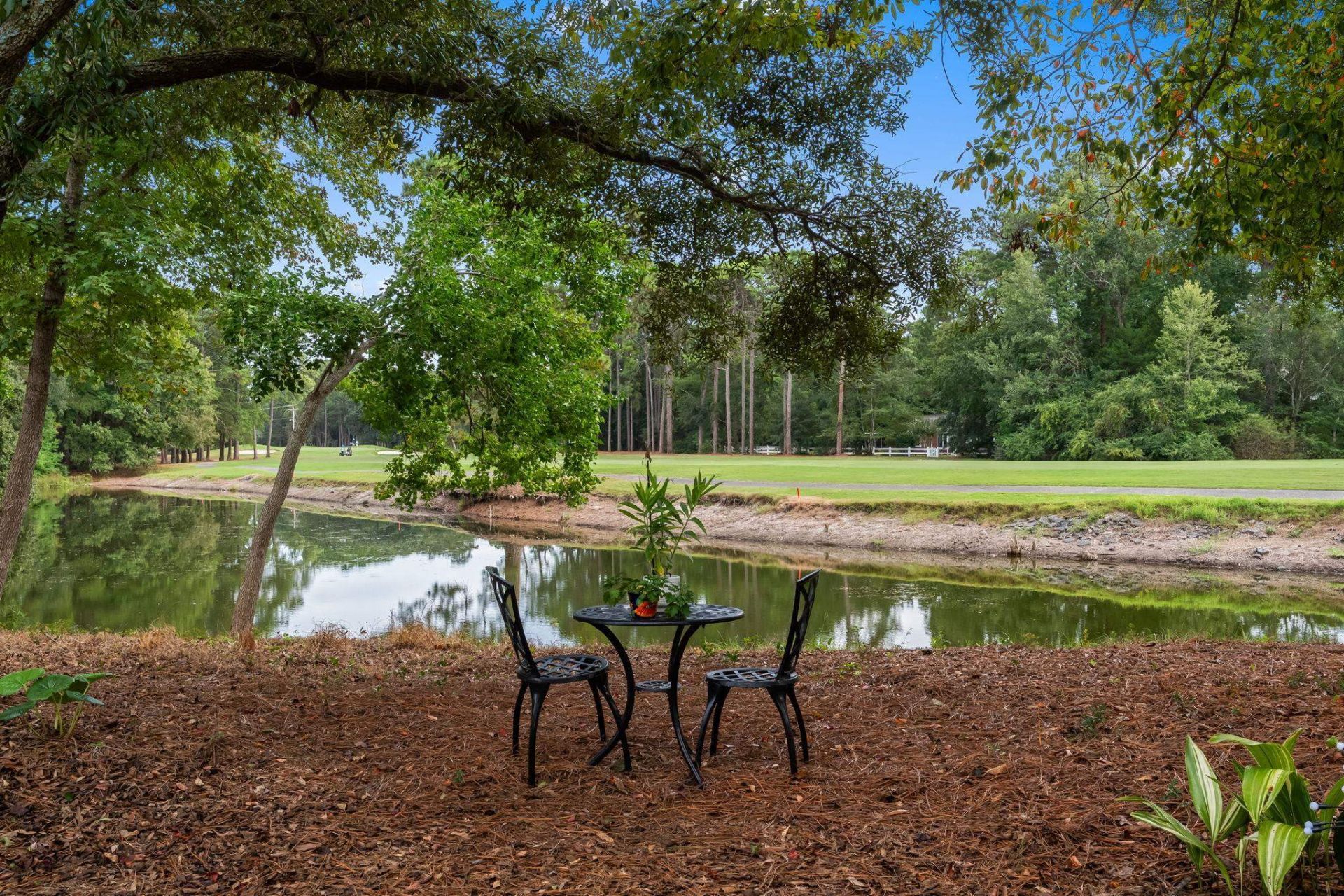 41 Spicebush Ln. Photo 63