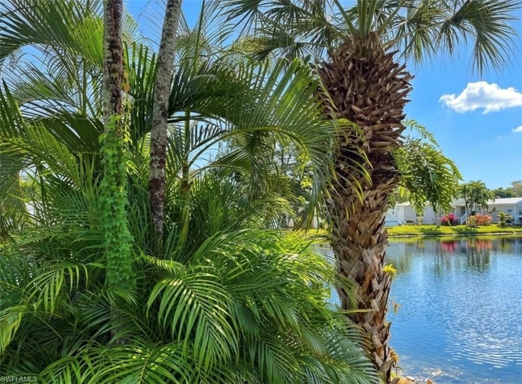 405 Imperial Wilderness Blvd , Naples, FL 34114 Photo