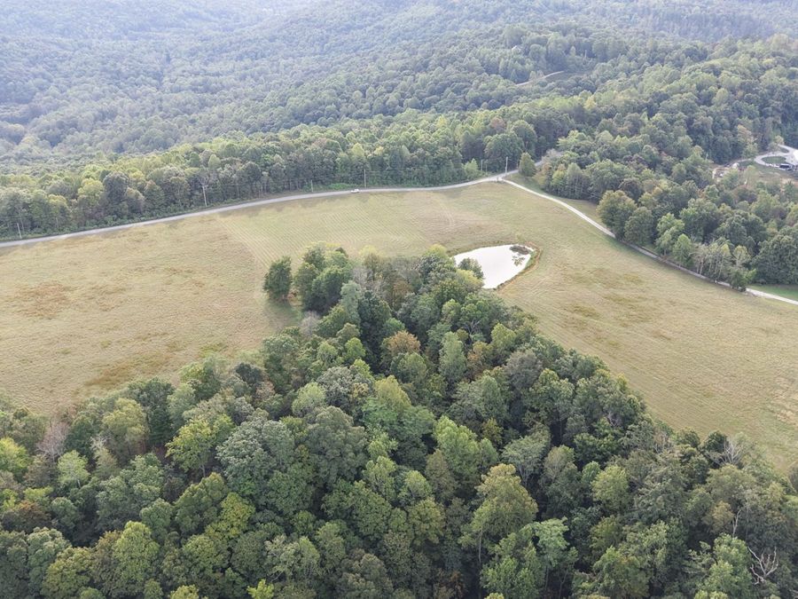 Property Image 9