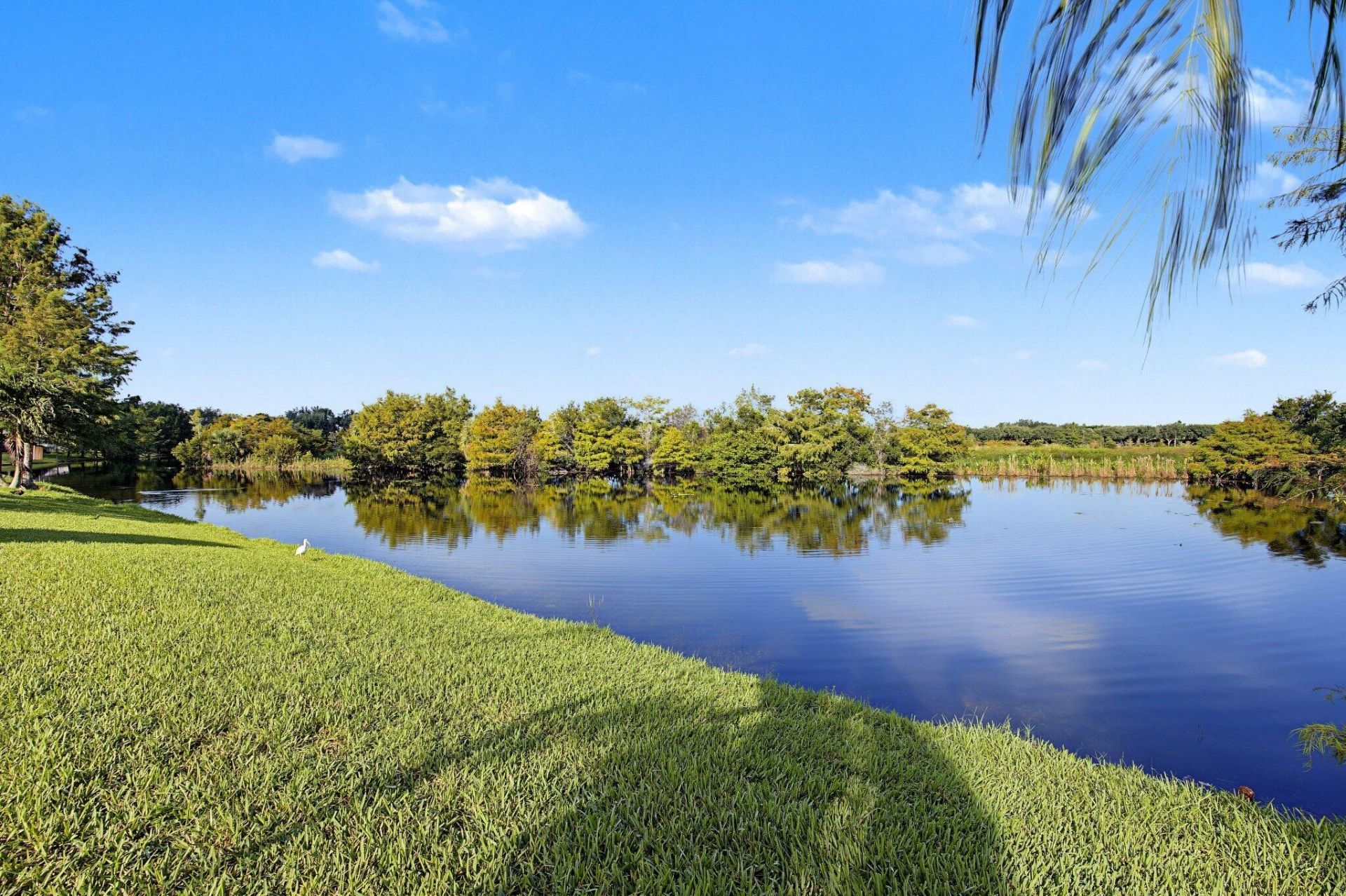 3131 Verdmont Lane, Wellington, FL 33414 Photo