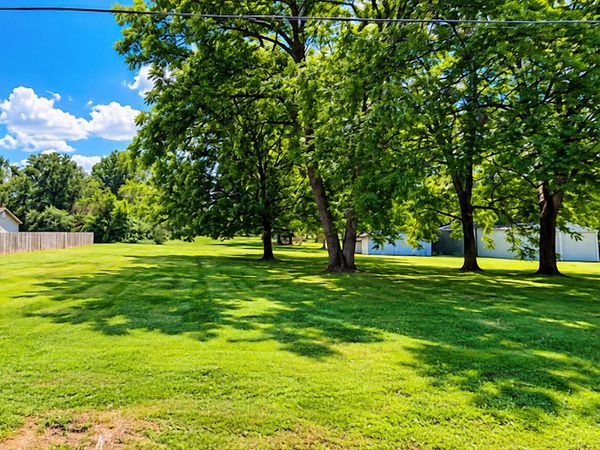 0 Mill Street, Unit 1, Sharon, TN 38255
