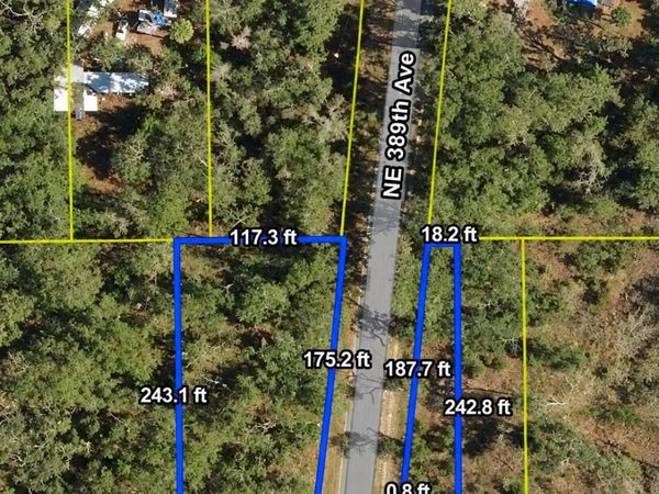 855 NE 389TH Avenue, Old Town, FL 32680