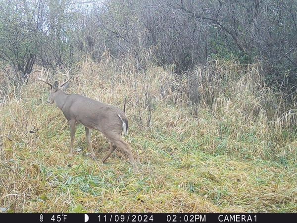 XXX 230th , Minnesota Lake, MN 56068
