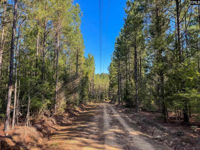 0 Lila Drive , Batesburg, SC 29006