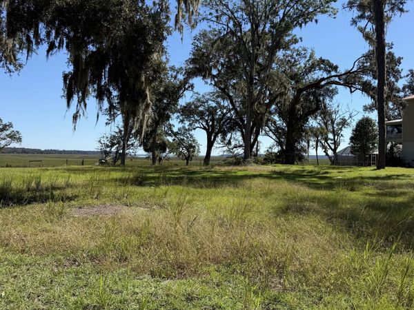 LOT 17 FC Randall Dr NE, Townsend, GA 31331