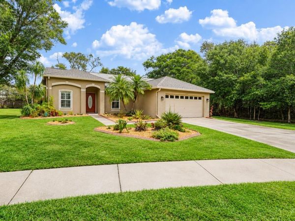 14701 REDCLIFF DRIVE , TAMPA, FL 33625