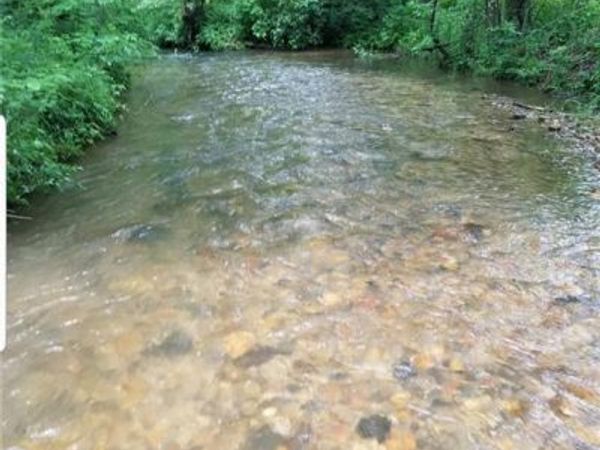 14551 Highway 52 E, Ellijay, GA 30536