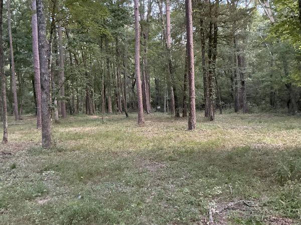 Damascus, AR 72039