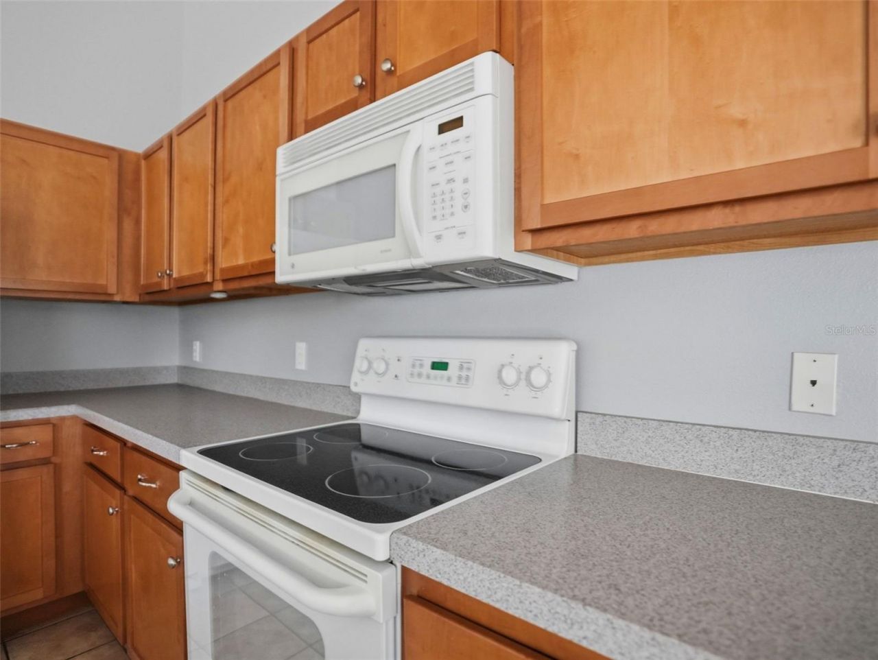 13329 Mitten Lane , Spring Hill, FL 34609 Photo
