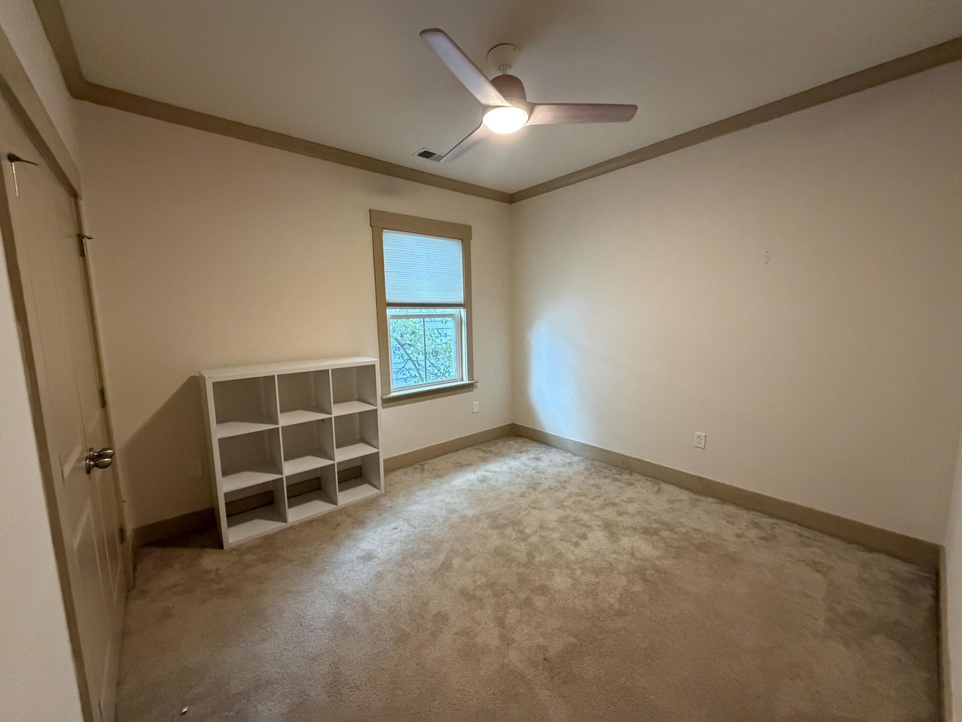 104 Ilderton Street Photo 20
