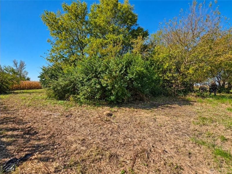1846 S Buena Vista Road, South Charleston, OH 45368 Photo 2