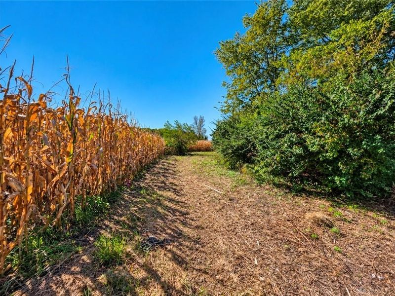 1846 S Buena Vista Road, South Charleston, OH 45368 Photo 4