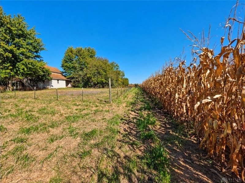 1846 S Buena Vista Road, South Charleston, OH 45368 Photo 5