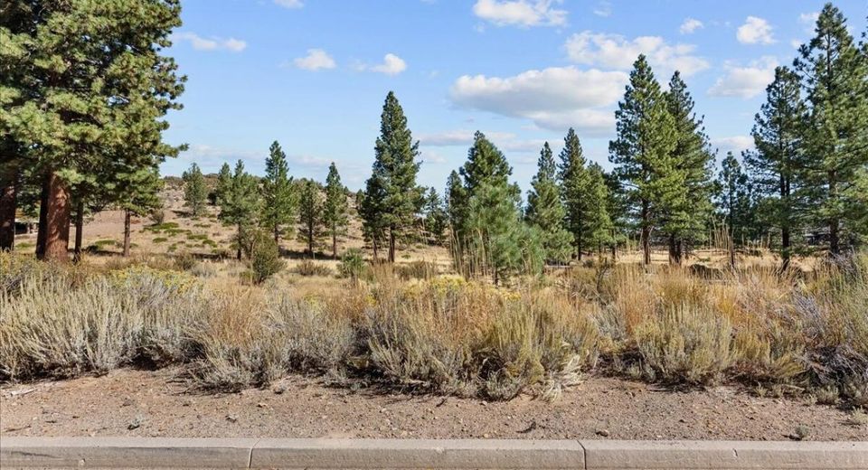 49 Bennington Court, Reno, NV 89511 Photo