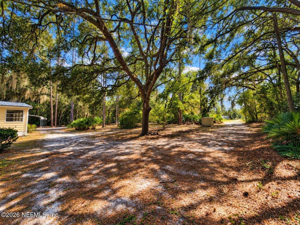 126 Bayberry Road, Georgetown, FL 32139 Photo