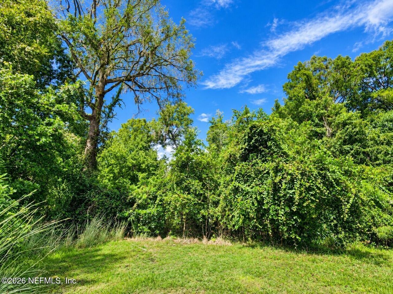 126 Bayberry Road, Georgetown, FL 32139 Photo