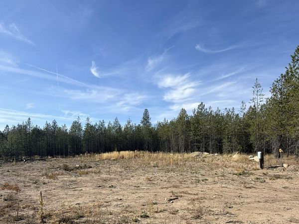 NKA Flintlock Way, Blanchard, ID 83804