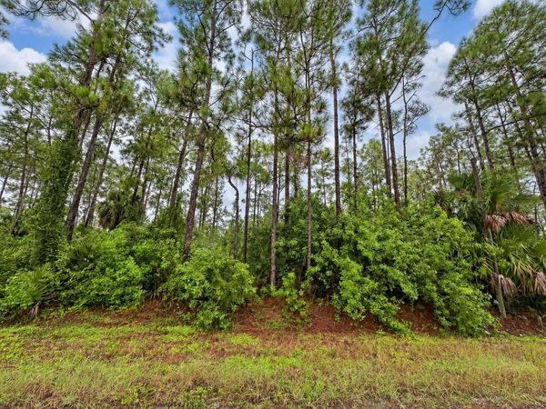6TH AVENUE NE, NAPLES, FL 34120
