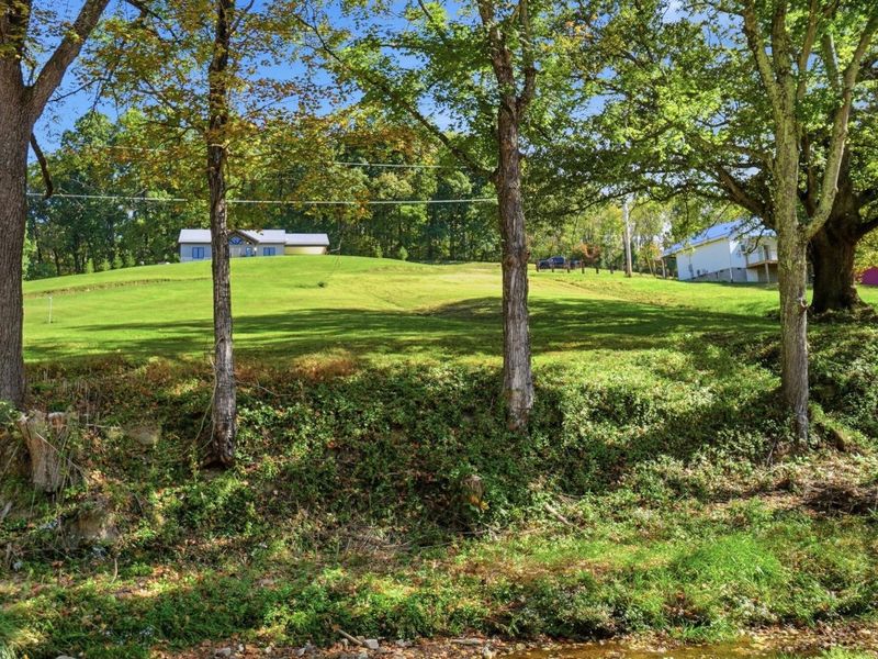 64185 Dunkle Creek Road, Unit 115 Acres, Creola, OH 45622 Photo 99