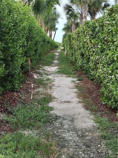232 Robinwood Cir , Sanibel, FL 33957 Photo
