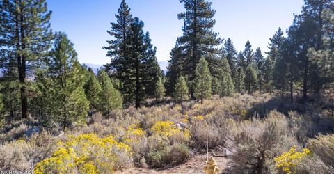 221 Rubicon Court, Lot #405, Gardnerville, NV 89460 Photo